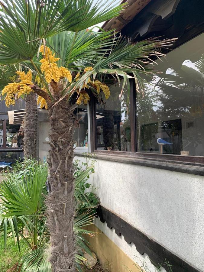 旧瓦马 La Doi Pasi De Mare酒店 外观 照片